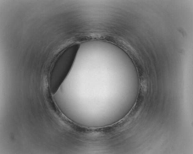 X0000115690593200911121009