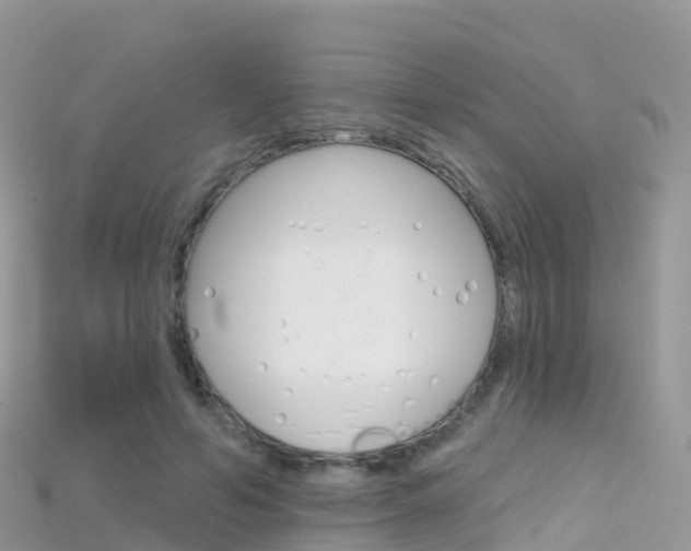 X0000115690594200911121009