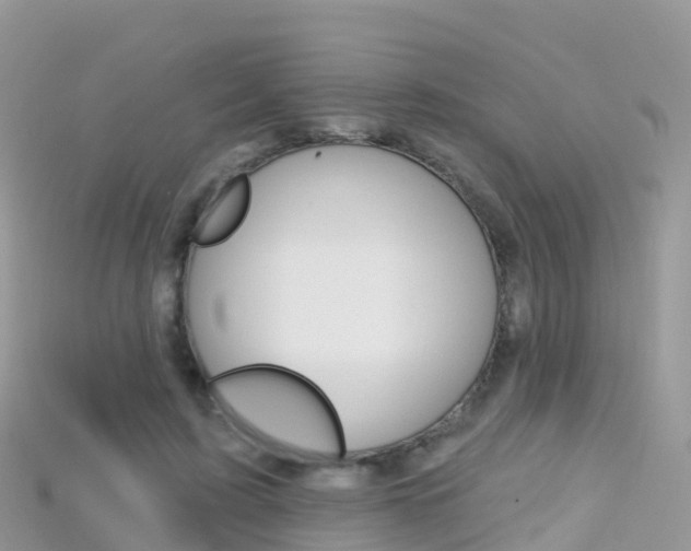X0000115690595200911121009