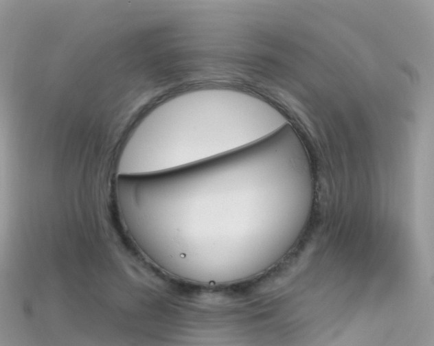X0000115690596200911121009