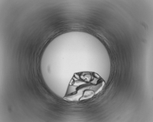 X0000115690597200911121009