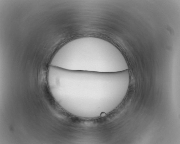 X0000115690598200911121009