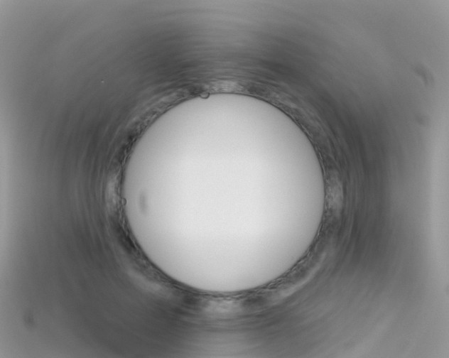 X0000115690599200911121009
