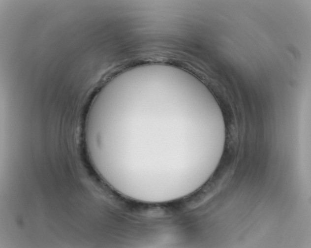 X0000115690600200911121009