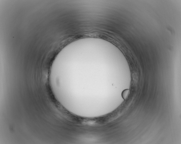 X0000115690602200911121009