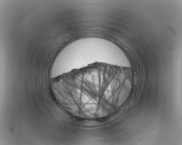 X0000115690605200911121009