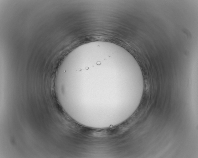 X0000115690606200911121009