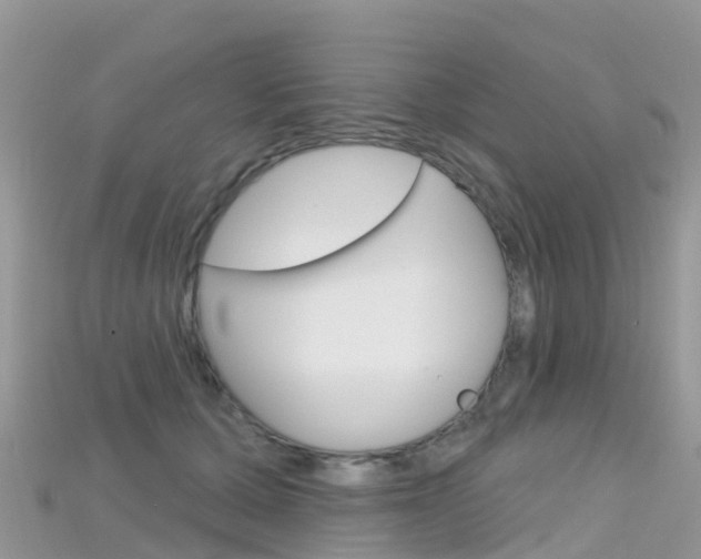 X0000115690607200911121009