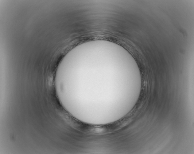 X0000115690610200911121009