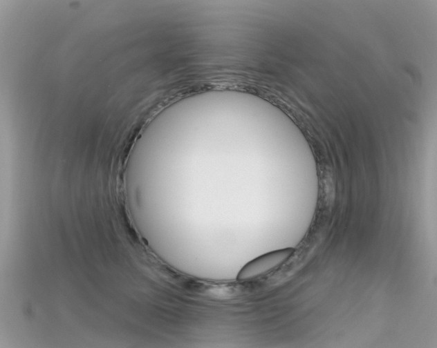 X0000115690611200911121009