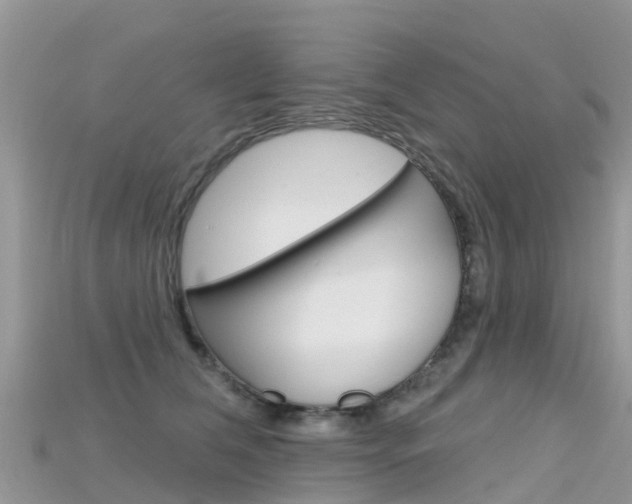 X0000115690612200911121009
