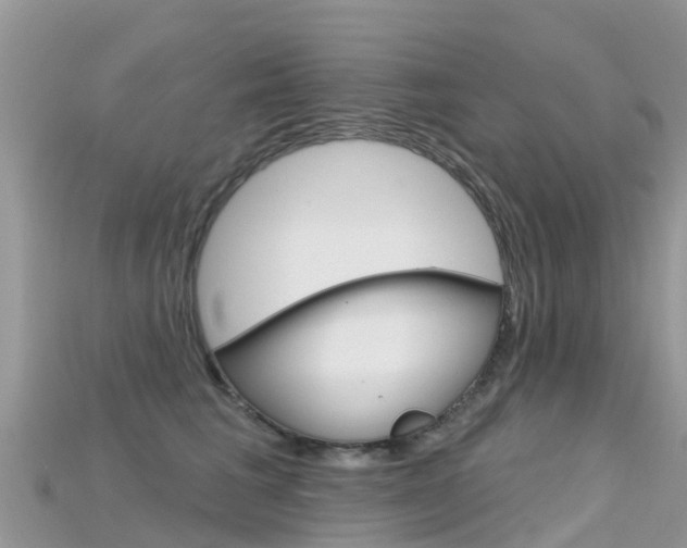 X0000115690613200911121009