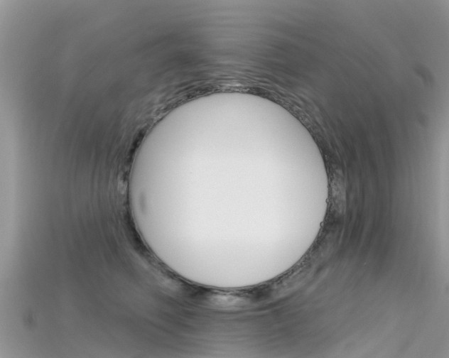 X0000115690614200911121009