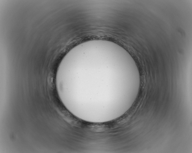 X0000115690615200911121009