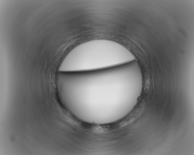 X0000115690616200911121009