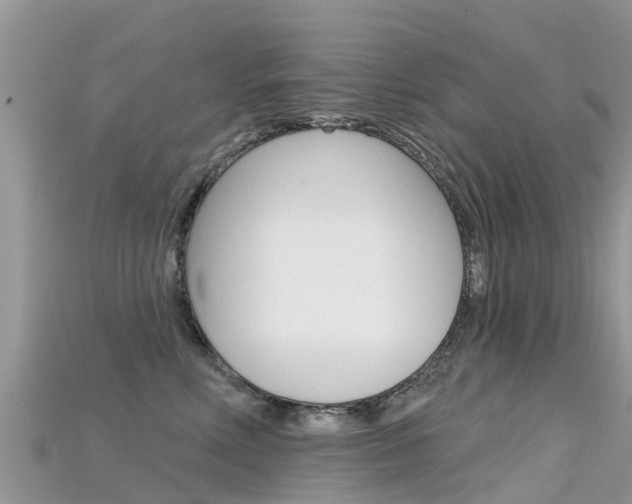 X0000115690618200911121009