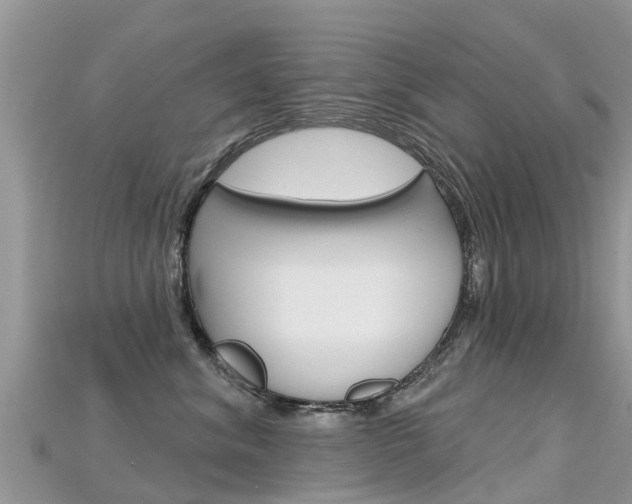 X0000115690620200911121009