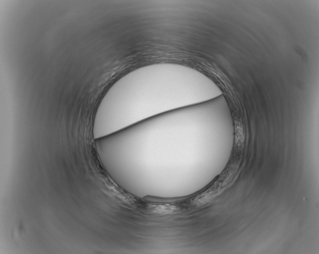 X0000115690621200911121009