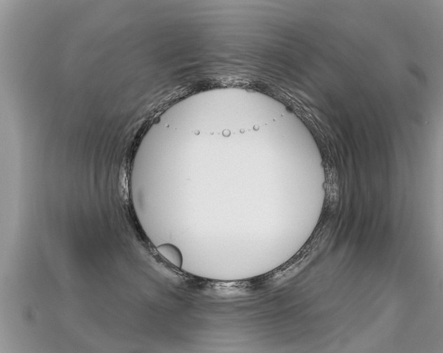 X0000115690622200911121009