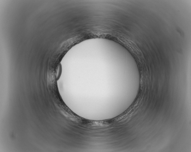 X0000115690623200911121009