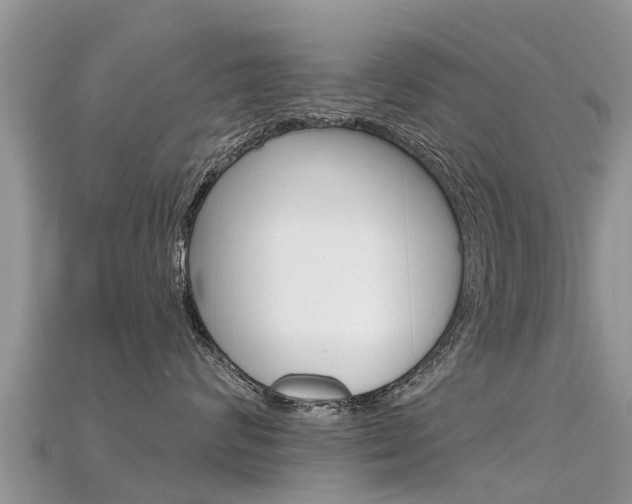 X0000115690624200911121009