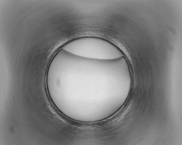 X0000115690625200911121008