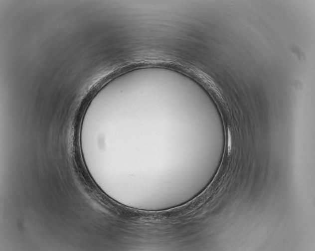 X0000115690627200911121008