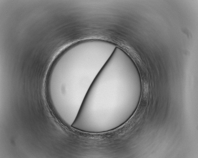 X0000115690628200911121008