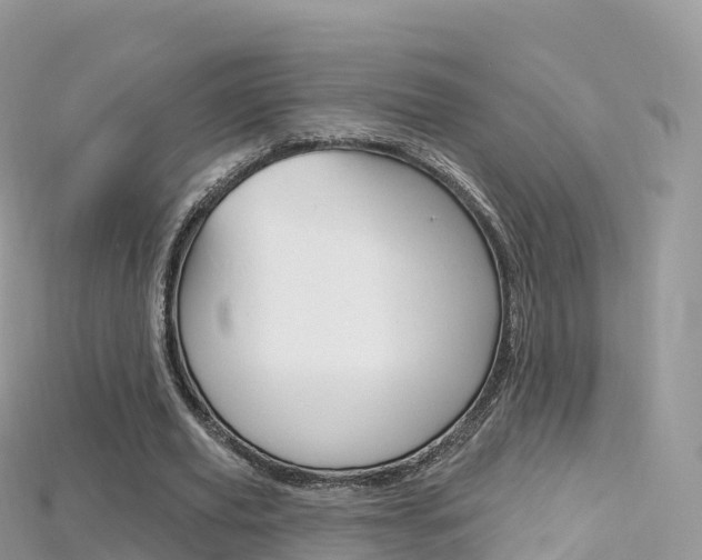 X0000115690629200911121008