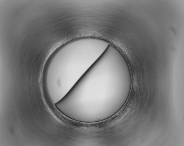 X0000115690630200911121008