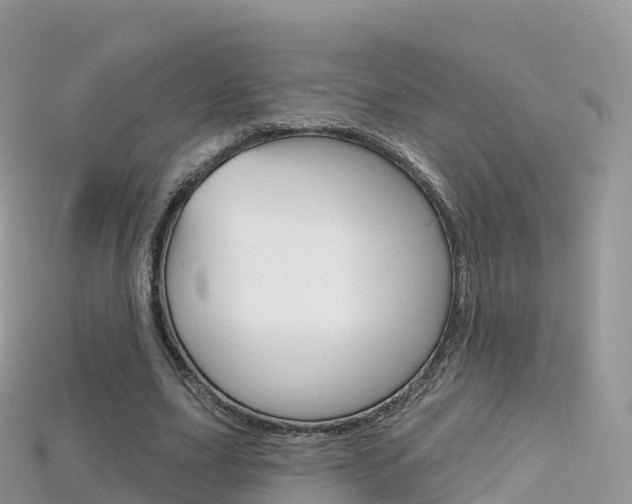 X0000115690631200911121008