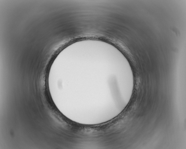 X0000115690632200911121008