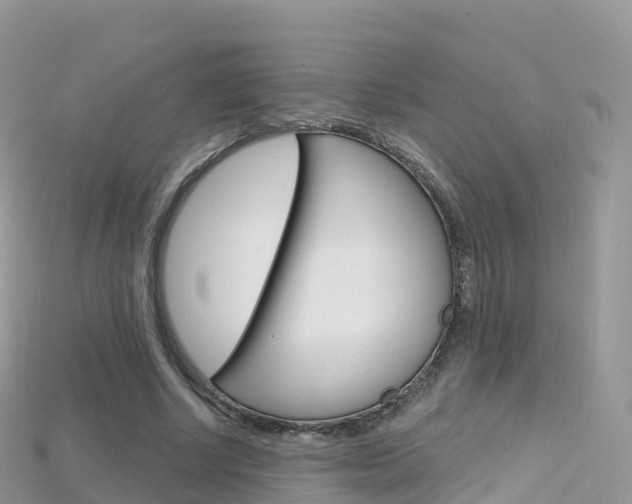 X0000115690634200911121008