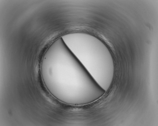 X0000115690637200911121008