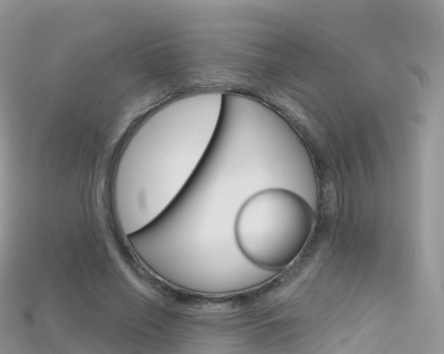 X0000115690638200911121008