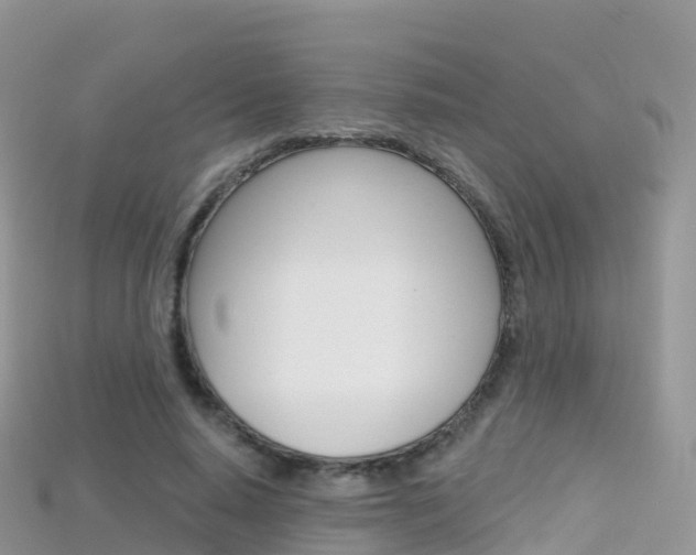 X0000115690640200911121008