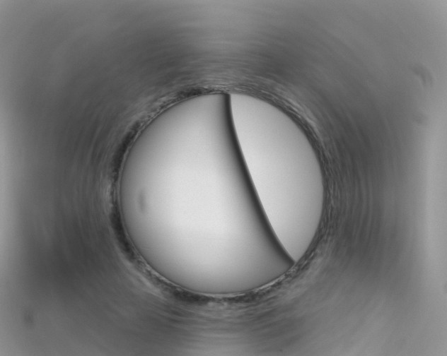 X0000115690641200911121008