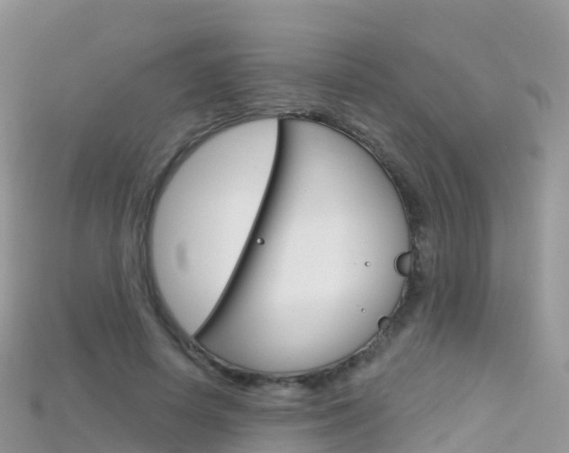 X0000115690642200911121008
