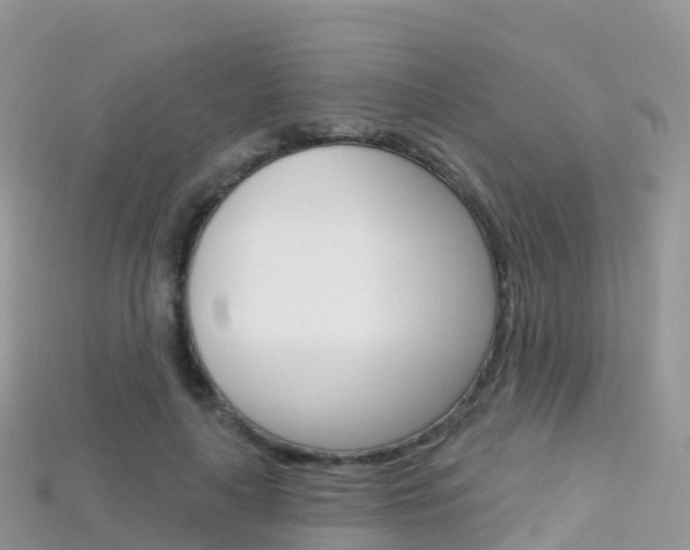 X0000115690643200911121009