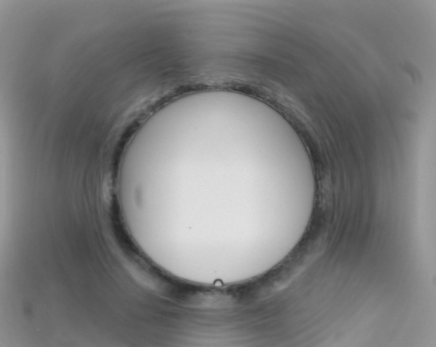 X0000115690644200911121009