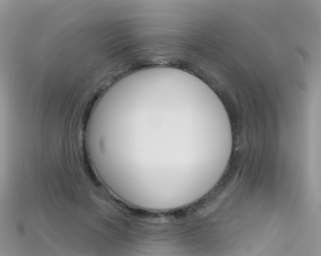 X0000115690646200911121009