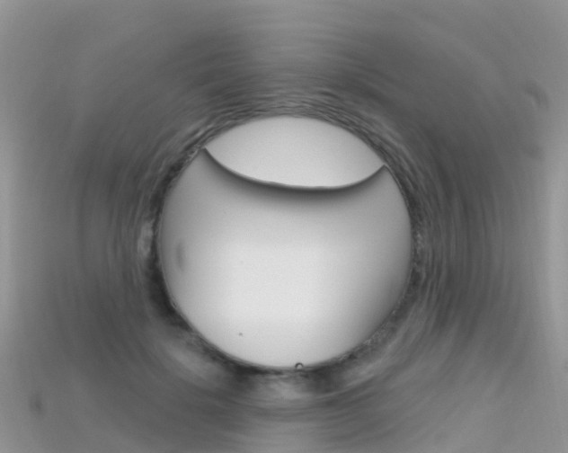 X0000115690652200911121009