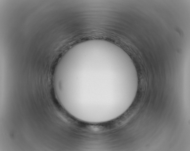 X0000115690654200911121009