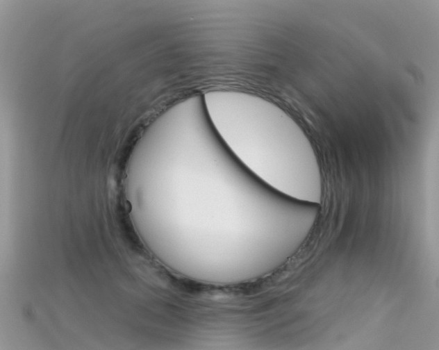 X0000115690655200911121009
