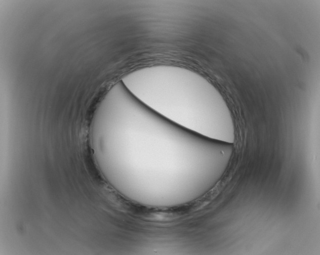 X0000115690657200911121009
