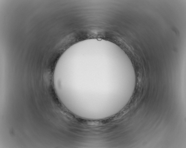 X0000115690659200911121009