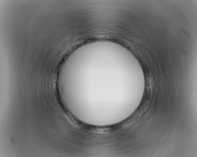X0000115690664200911121009