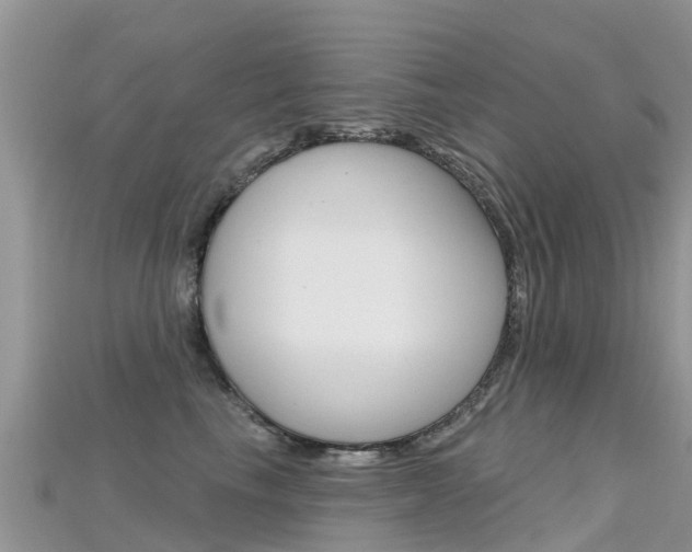 X0000115690665200911121009