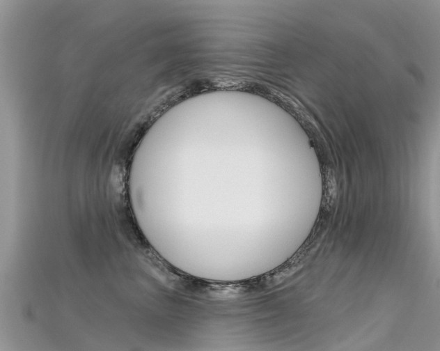 X0000115690667200911121009