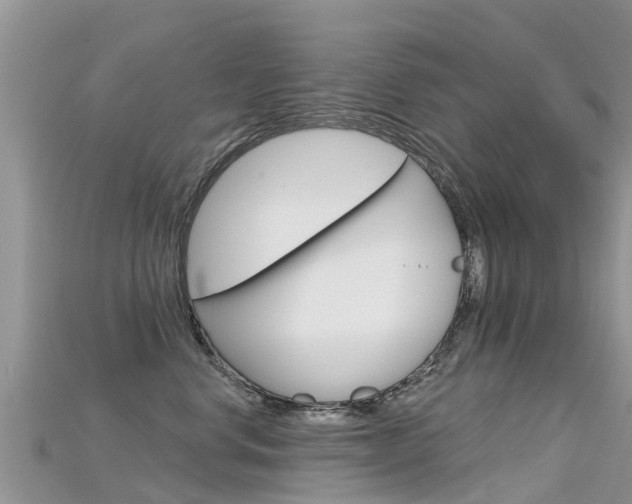 X0000115690668200911121009